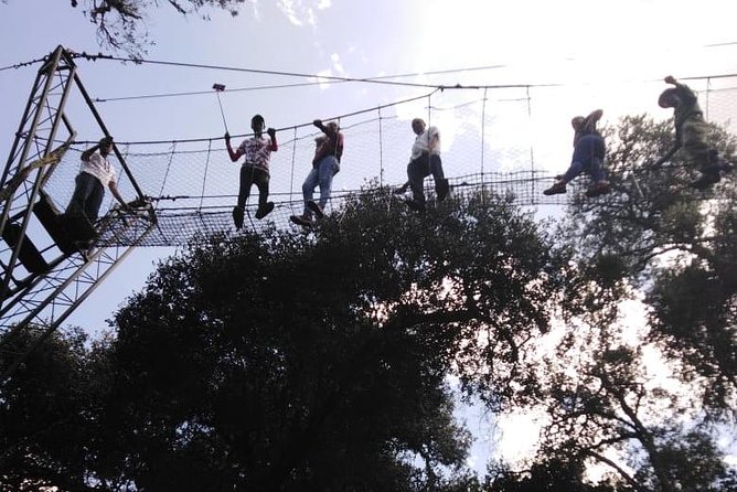 Ngare Ndare Forest Excursion - Excursion Details
