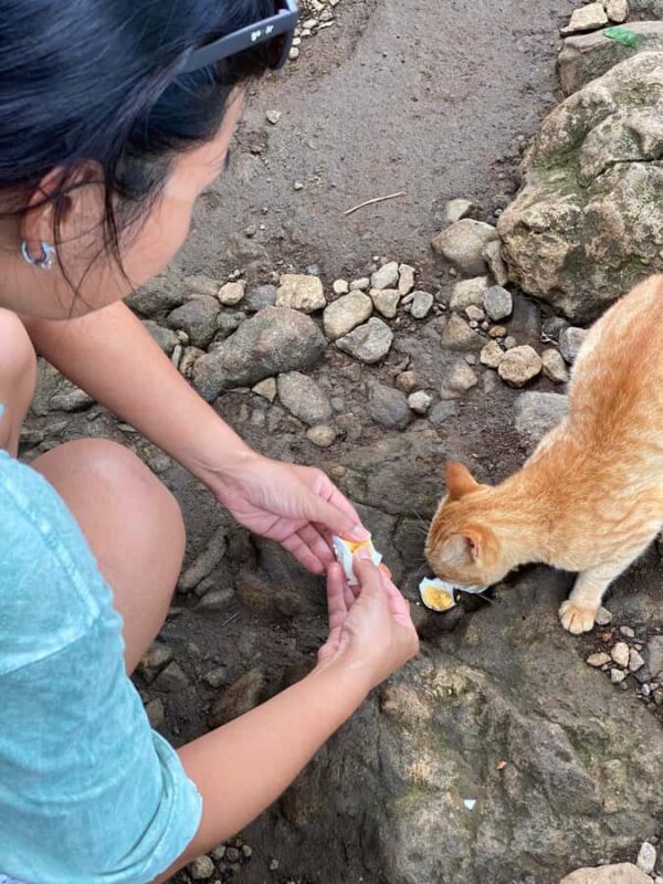 Ngglangeran Acien Volcano Soft Trekking-Pindul Cave Tubing - An In-Depth Look at the Ngglangeran Acien Volcano & Pindul Cave Tour
