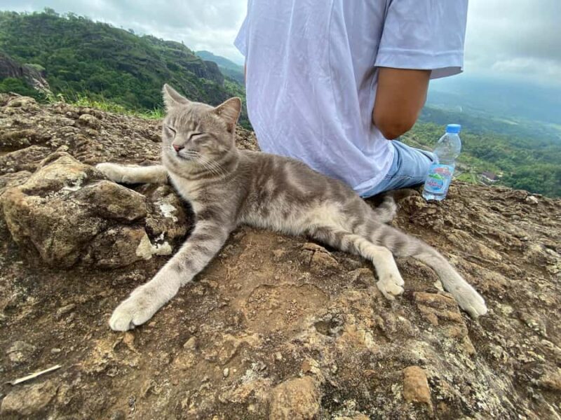 Ngglangeran Acien Volcano Soft Trekking-Pindul Cave Tubing - FAQ