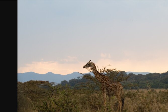 Ngong Hills Private Tour And Adventure From Nairobi City - Pickup and Transportation