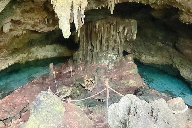 Ngonga Cave Tour; Kuza Cave; Paje Beach; The Rock Restaurant; Jozani Forest Tour - Wildlife Encounter at Jozani Forest
