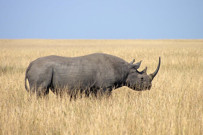 Ngorongoro Crater | Day Tour - Start Time