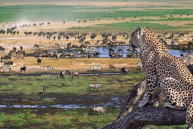 Ngorongoro Crater Day Trip - Itinerary Highlights