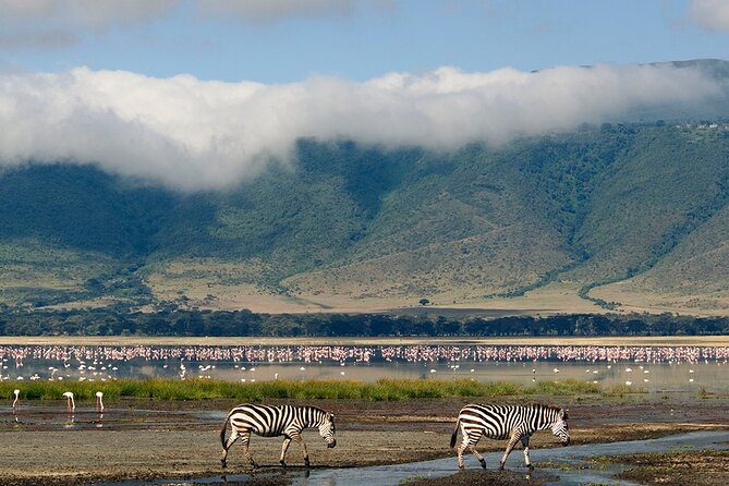 Ngorongoro Crater Day Trip - Best Time to Visit