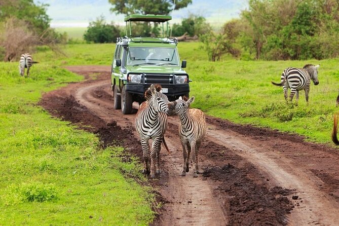 Ngorongoro Crater Day Trip - Guided Tour Options