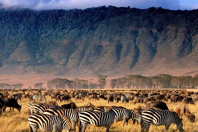 Ngorongoro Crater Day Trip - Meeting Point and Start Time