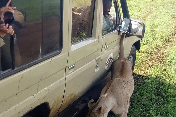 Ngorongoro Crater Full Day Tour - Cancellation Policy