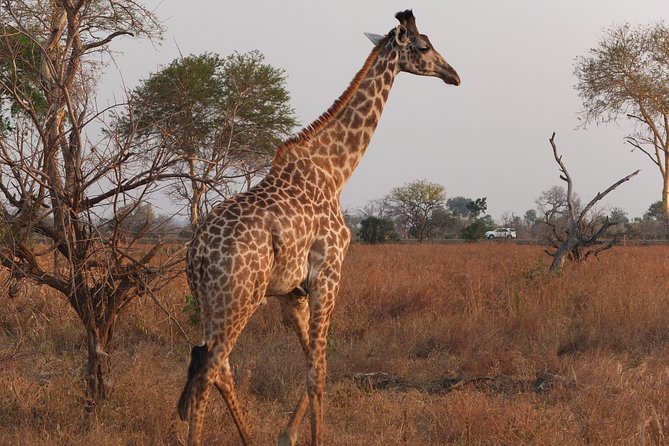 Ngorongoro Day Trip - Inclusions
