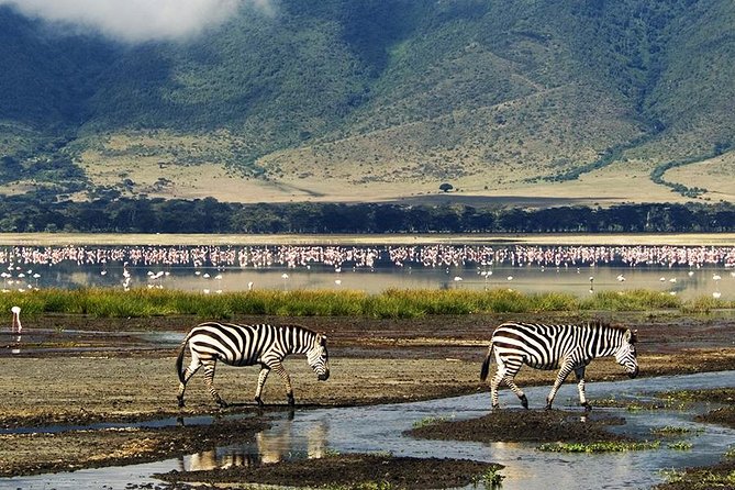 Ngorongoro Day Trip - Good To Know