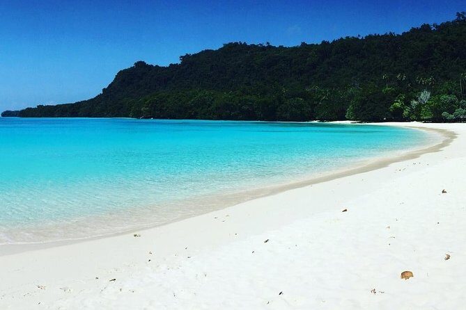 Nguna Island Full Day Hike and Snorkeling Adventure from Port Vila Vanuatu - Final Thoughts: Who Should Consider This Tour?