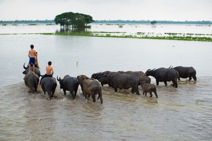 Nha Rong Port: Private Mekong Delta Tour - Tour Overview