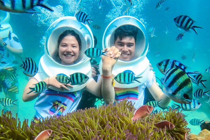 Nha Trang 3 Islands Paradise Explore - Good To Know