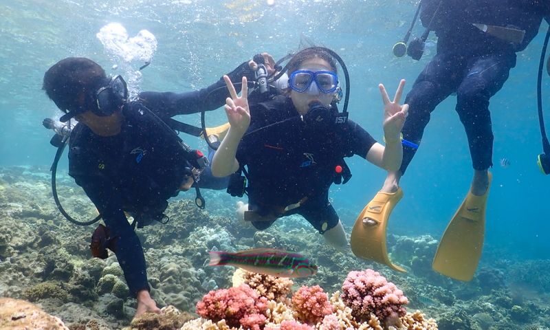 Nha Trang Agarwood Tower One-Day Private Guided Tour - Lunch and the practical middle of the day