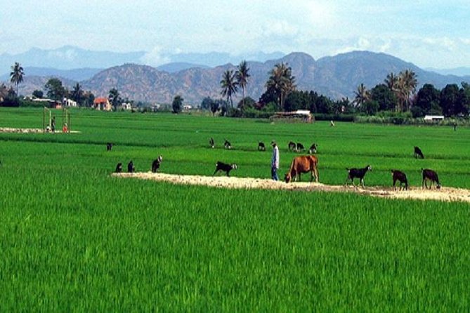 Nha Trang Authenticity Along Cai River - Additional Info