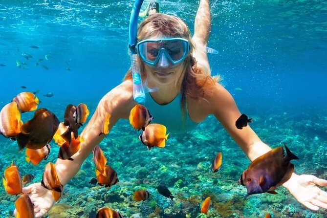 Nha Trang Bay: Explore Half-day Snorkeling at Mun Island - Transportation