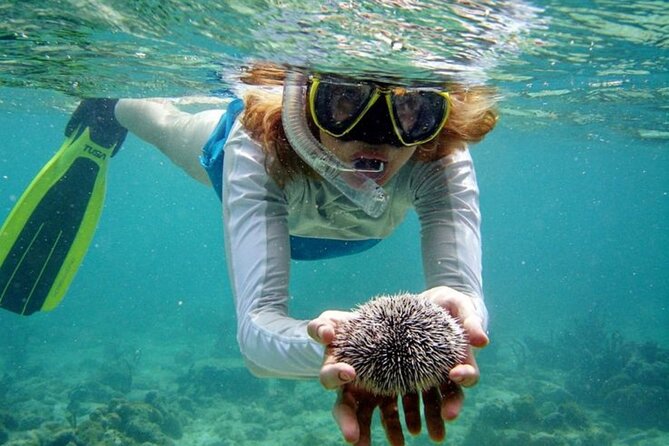 Nha Trang Bay: Explore Half-day Snorkeling at Mun Island - Weather Considerations