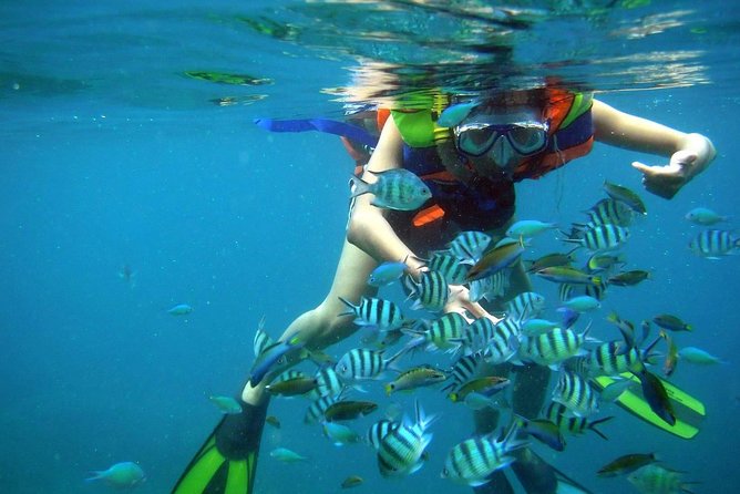 Nha Trang Bay Private Boat Tour - Good To Know