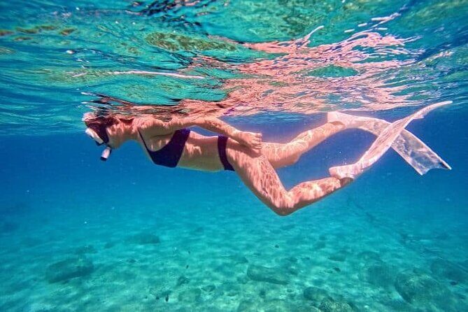 Nha Trang Bay: Private Half-Day Snorkeling Tour at Coral Reef - An Overview of the Snorkeling Experience in Nha Trang Bay