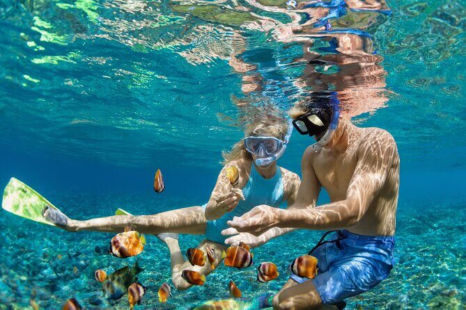 Nha Trang Bay: Private Half-Day Snorkeling Tour at Coral Reef - Good To Know