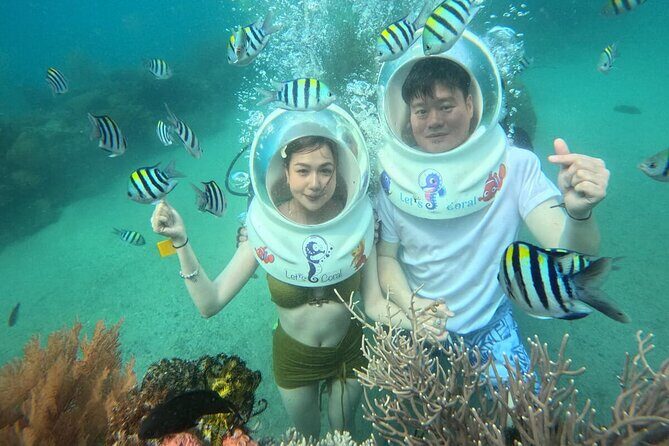 Nha Trang Bay Underwater Walk and Vietnamese Seafood Delight - Who Will Enjoy This Tour?