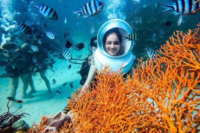 Nha Trang Bay Underwater Walk and Vietnamese Seafood Delight - The Sum Up: The Value of a Unique, Authentic Experience