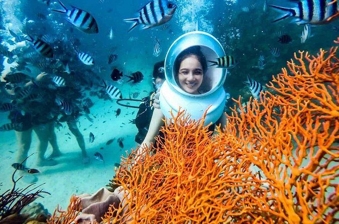 Nha Trang Bay Underwater Walk and Vietnamese Seafood Delight - FAQ: Your Practical Questions Answered