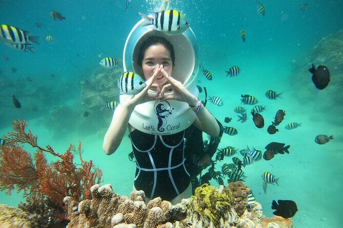 Nha Trang Bay Underwater Walk and Vietnamese Seafood Delight - Discovering Nha Trang Bay: What’s Included and What to Expect