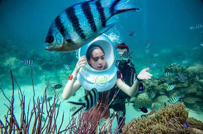 Nha Trang Bay Underwater Walk and Vietnamese Seafood Delight - Price and Value Analysis