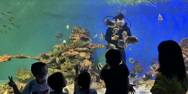 Nha Trang City Half-Day Tour - Hon Chong Promontory