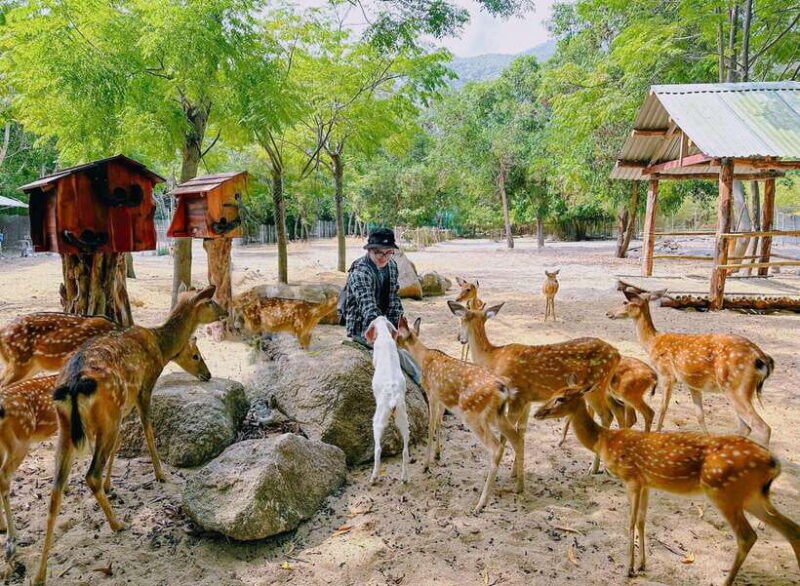 Nha Trang City Sightseeing Tour: Nha Phu Bay, Monkey Island - Is This Tour Worth It?