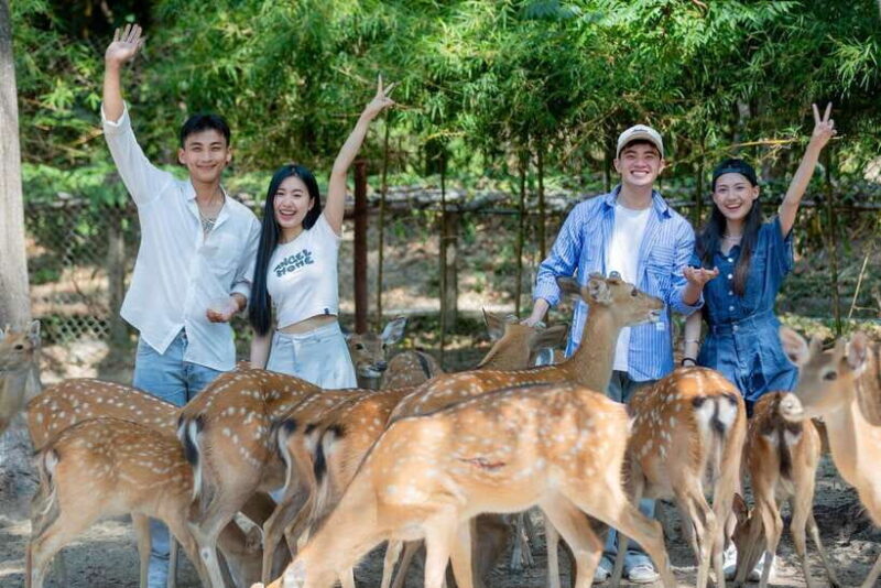 Nha Trang City Sightseeing Tour: Nha Phu Bay, Monkey Island - Monkey Island and the Circus Show