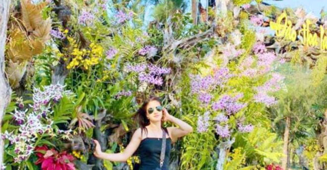 Nha Trang: Combo Monkey Island With Orchids Island Ticket - Experience Highlights