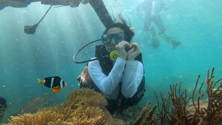 Nha Trang: Coral Reef Snorkeling and Floating Bar Party - Experience Highlights