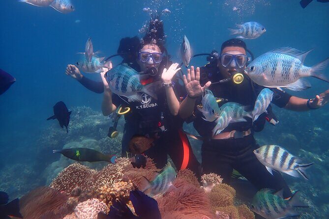 Nha Trang Coral Reefs Scuba Diving Experience with Lunch - Good To Know