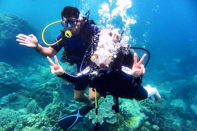 Nha Trang Coral Reefs Scuba Diving Experience with Lunch - Why This Tour Is Worth Considering