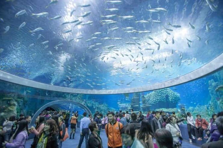 Nha Trang: Explore Nha Trang City in a Half-Day Tour - Good To Know
