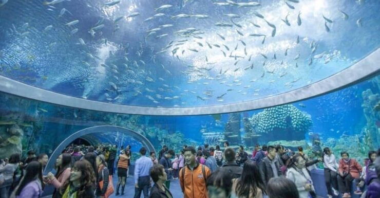 Nha Trang: Explore Nha Trang City in a Half-Day Tour - Itinerary Breakdown
