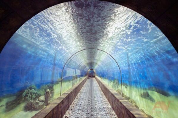 Nha Trang: Explore Nha Trang City in a Half-Day Tour - Tips for a Great Experience