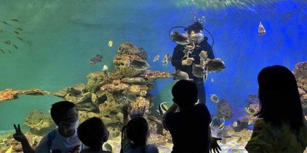 Nha Trang: Explore Nha Trang City in a Half-Day Tour - Frequently Asked Questions