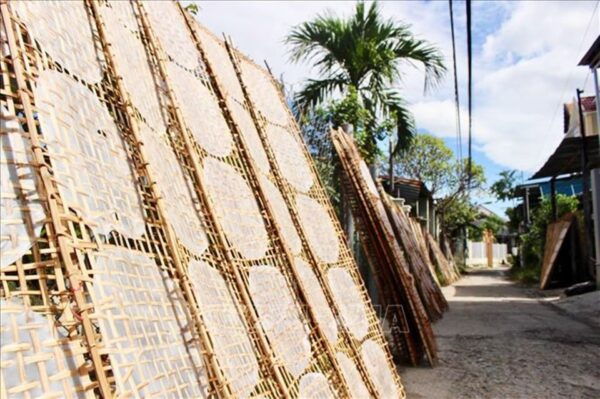 Nha Trang: Explored the Daily Life in Countryside. - The Sum Up