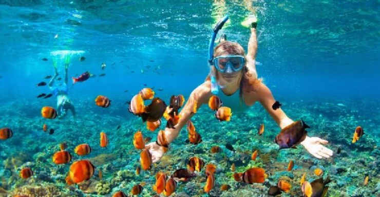 Nha Trang Fishing Village and Snorkelling Private Tour - Experience Highlights