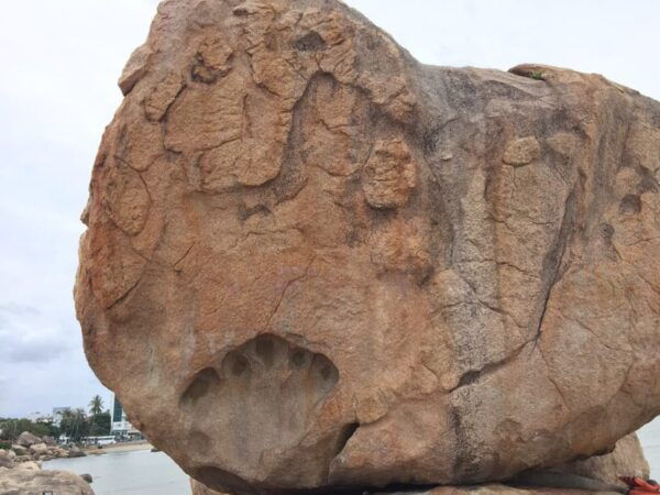 Nha Trang: Half-Day City Tour - Booking Information