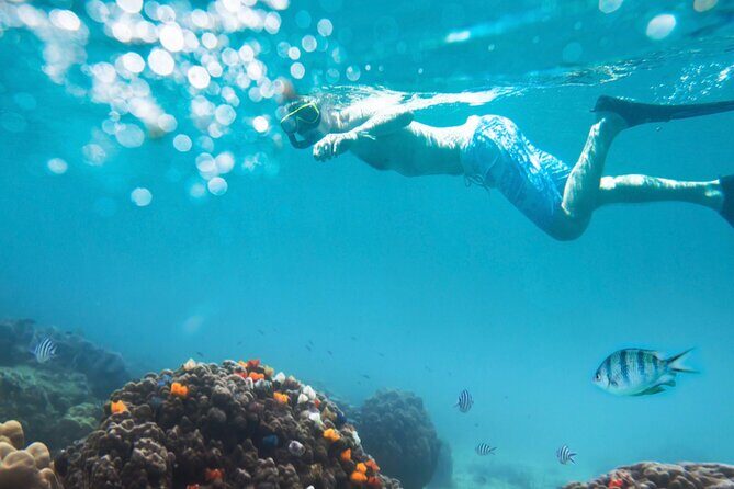 Nha Trang Half-Day Snorkeling Adventure at Marine Park with BBQ - An In-Depth Look at the Tour Experience