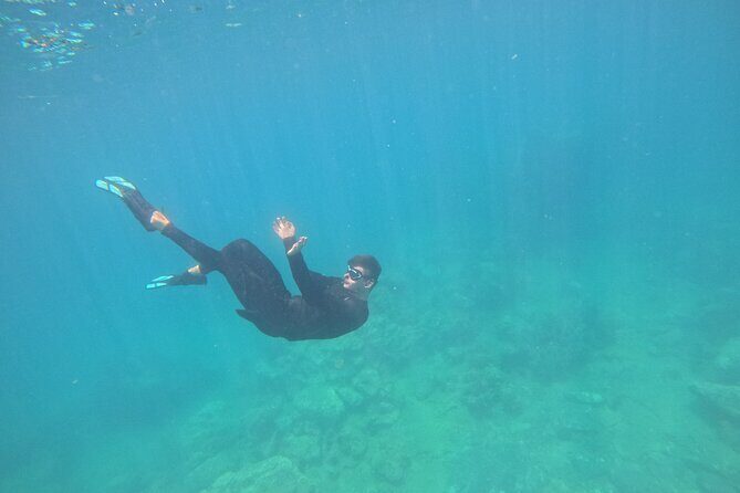 Nha Trang Half-Day Snorkeling Adventure at Marine Park with BBQ - Who Will Love This Tour?