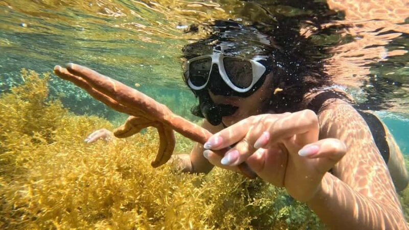 Nha Trang: Half-Day Snorkeling Adventure with BBQ Onboard - The Itinerary Breakdown