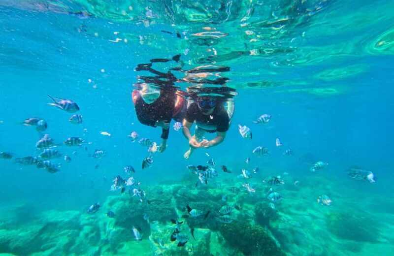Nha Trang: Half-Day Snorkeling Adventure with BBQ Onboard - FAQ