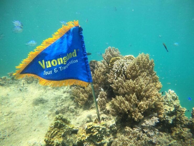 Nha Trang Half Day Snorkeling Trip - Tour Highlights