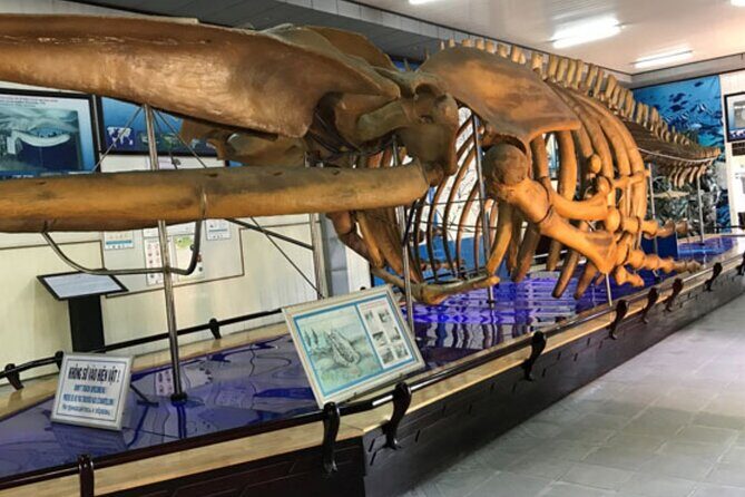 Nha Trang Half Day Tour: Best Highlights & Secret Spots - FAQs