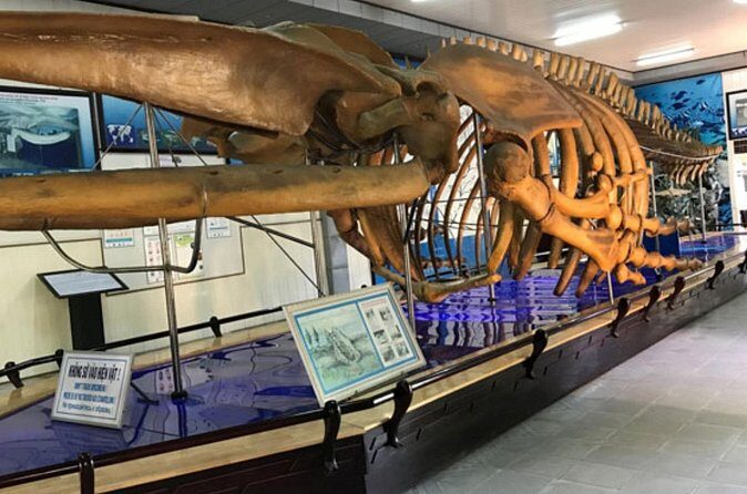 Nha Trang Half Day Tour: Best Highlights & Secret Spots - FAQ