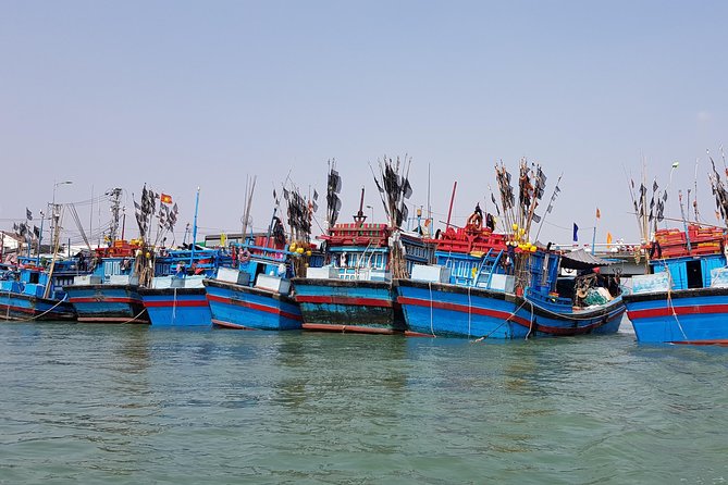 Nha Trang Highly Recommended Private Cultural City Tour by Car - The Sum Up